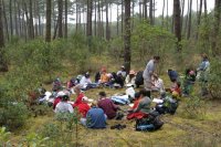 Cliquer pour agrandir