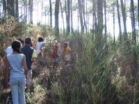 Cliquer pour agrandir