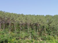 Cliquer pour agrandir