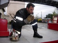 Cliquer pour agrandir