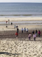 Cliquer pour agrandir