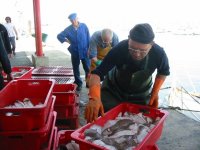 Cliquer pour agrandir