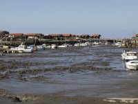 Cliquer pour agrandir