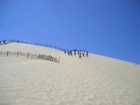 Cliquer pour agrandir