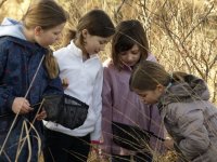 Cliquer pour agrandir