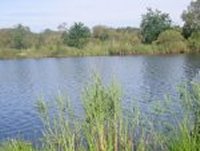 Cliquer pour agrandir