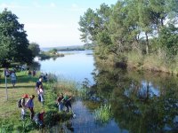 Cliquer pour agrandir