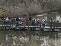 Cliquer pour agrandir