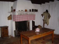 Cliquer pour agrandir