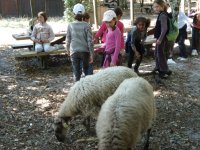 Cliquer pour agrandir