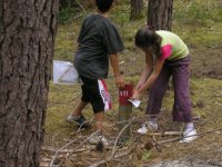 Cliquer pour agrandir