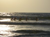 Cliquer pour agrandir