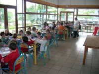 Cliquer pour agrandir