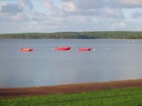 Cliquer pour agrandir