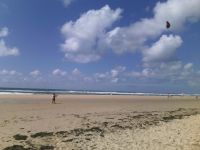 Cliquer pour agrandir