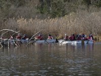 Cliquer pour agrandir