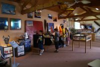 Cliquer pour agrandir