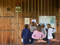 Cliquer pour agrandir