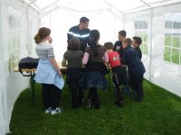 Cliquer pour agrandir