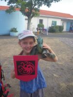 Cliquer pour agrandir