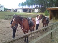 Cliquer pour agrandir