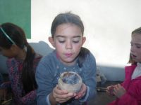 Cliquer pour agrandir