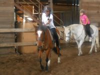 Cliquer pour agrandir