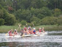 Cliquer pour agrandir