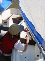 Cliquer pour agrandir