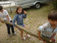 Cliquer pour agrandir