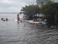 Cliquer pour agrandir