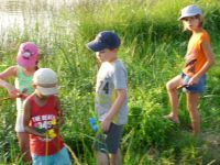 Cliquer pour agrandir