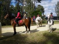 Cliquer pour agrandir