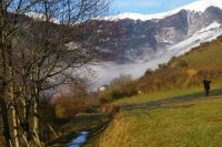 Cliquer pour agrandir