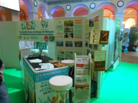 Cliquer pour agrandir