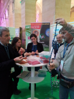 Cliquer pour agrandir